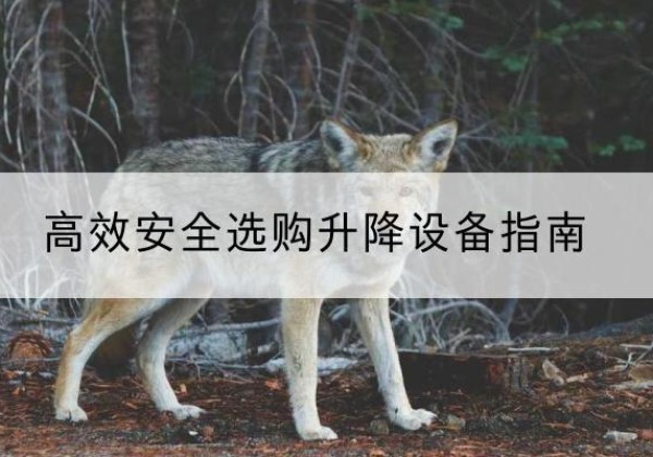 桑日升降货梯厂家推荐-*安全选购升降设备指南