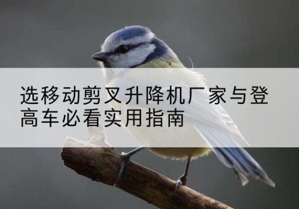 桑日电动升降机厂家-选移动剪叉升降机厂家与登高车必看实用指南