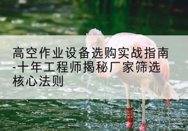 桑日剪叉式升降机厂家-高空作业设备选购实战指南-十年工程师揭秘厂家筛选核心法则