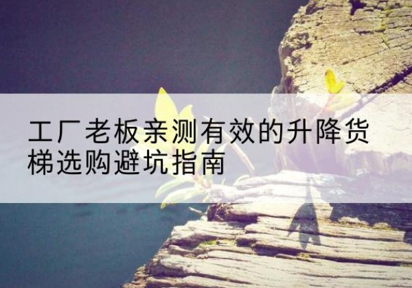 桑日升降货梯怎么选-工厂老板亲测有效的升降货梯选购避坑指南